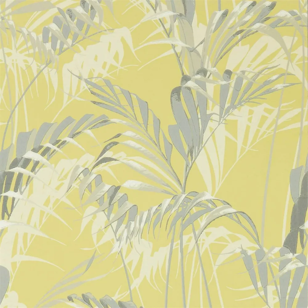 Glasshouse Palm House Dglw216642 Tapet | Stuvbutiken