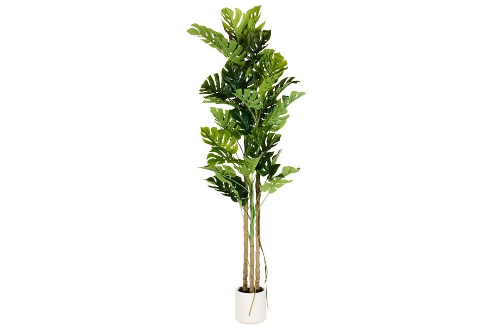 Konstgjord växt Monstera Plant 71x71x221 cm
