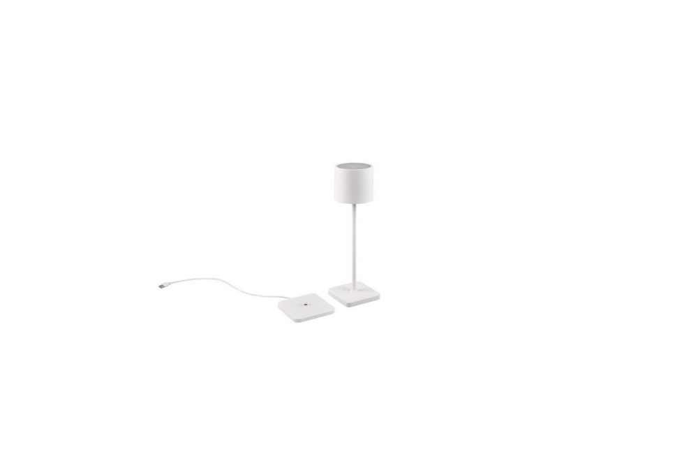 Bordslampa TRIO Fernandez Mattvit