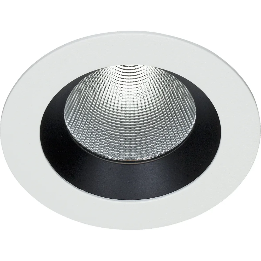 Easyform Pride Downlight standard 30W