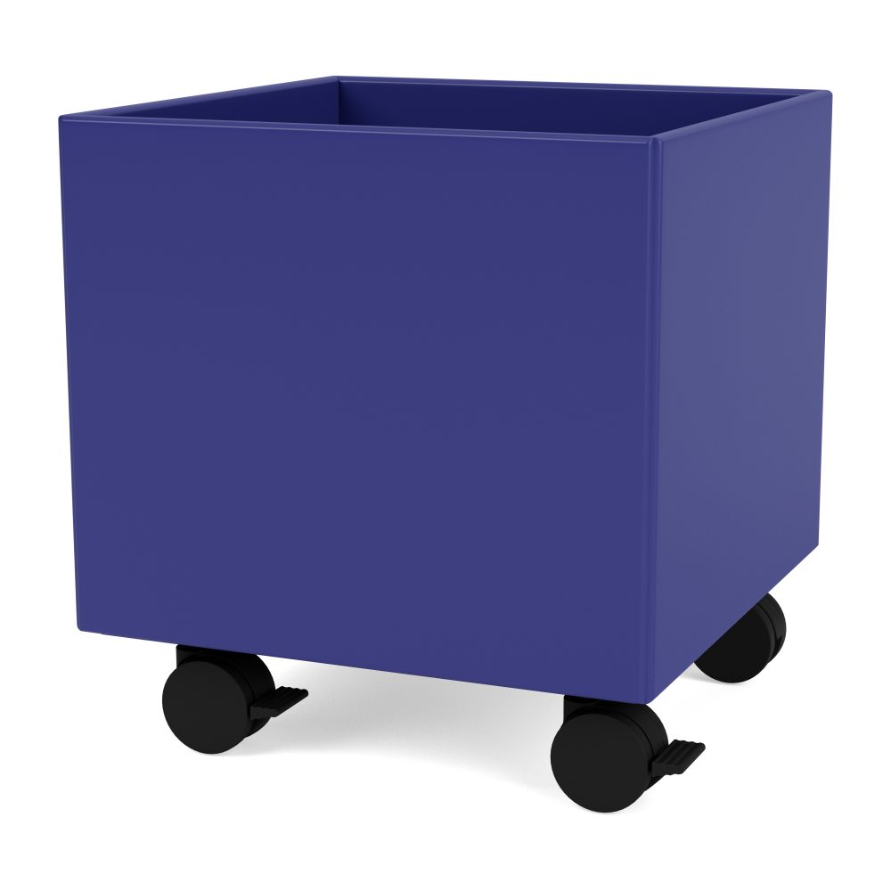 Colour Box I – S6161, Monarch