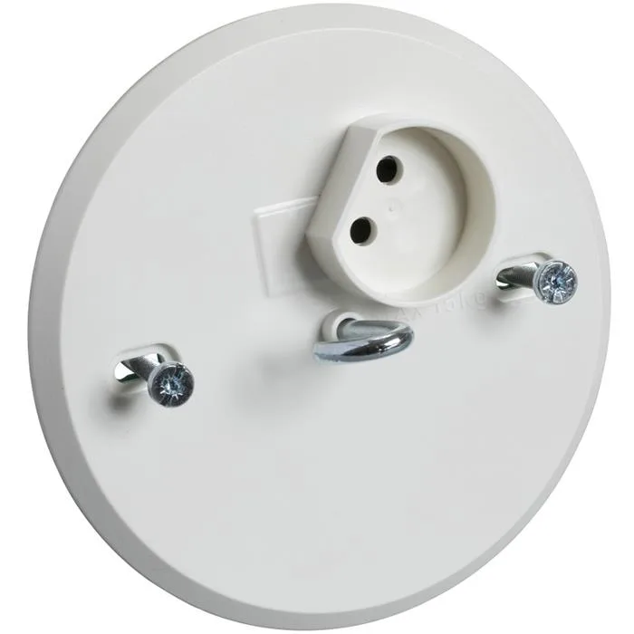 Schneider Electric 189504200 Lamputtag ojordat, 1-vägs, 2-pol, med krok