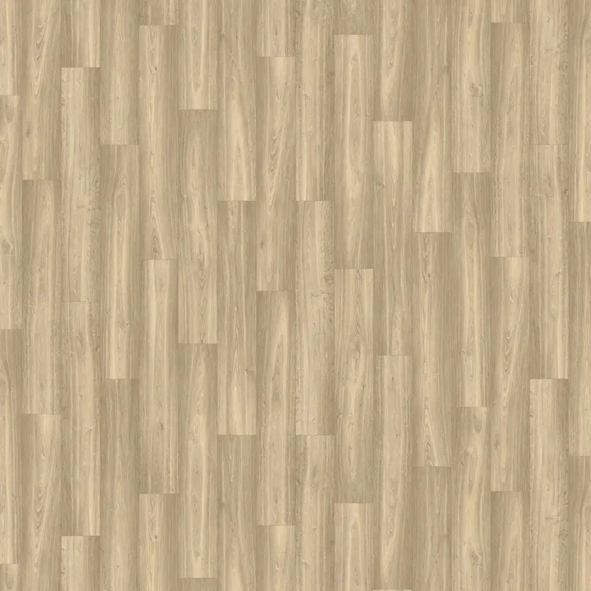 Bonsai Oak, Almond 4m bred | Iconik T-Extra