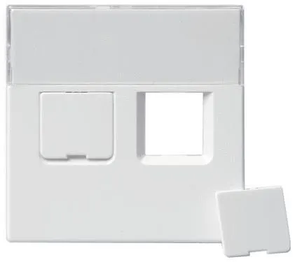 ABB 1819-84 Centrumplatta 2 x RJ45 Vit
