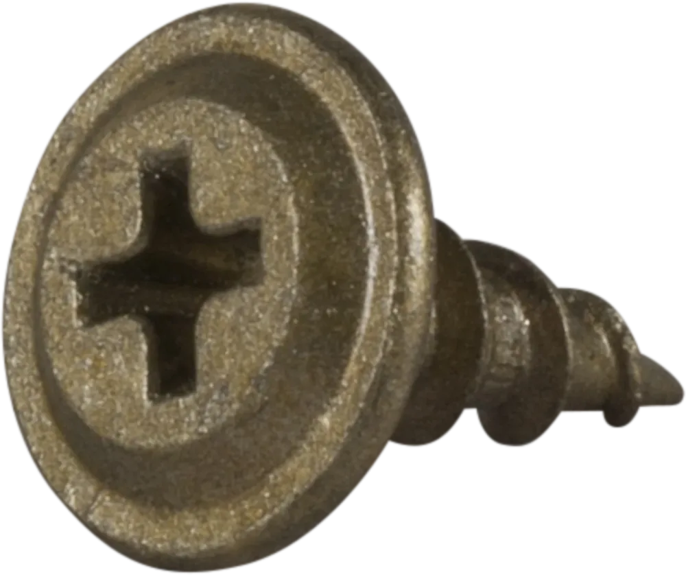 ESSVE 579165 Montageskruv 4,5 mm Ø, CorrSeal, PH2, vass spets 65 mm, 200-pack