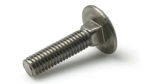 Schäfer & Peters 06034660 Vagnsbult M6 MVBF A4, DIN 603, 100-pack M6 x 60 mm