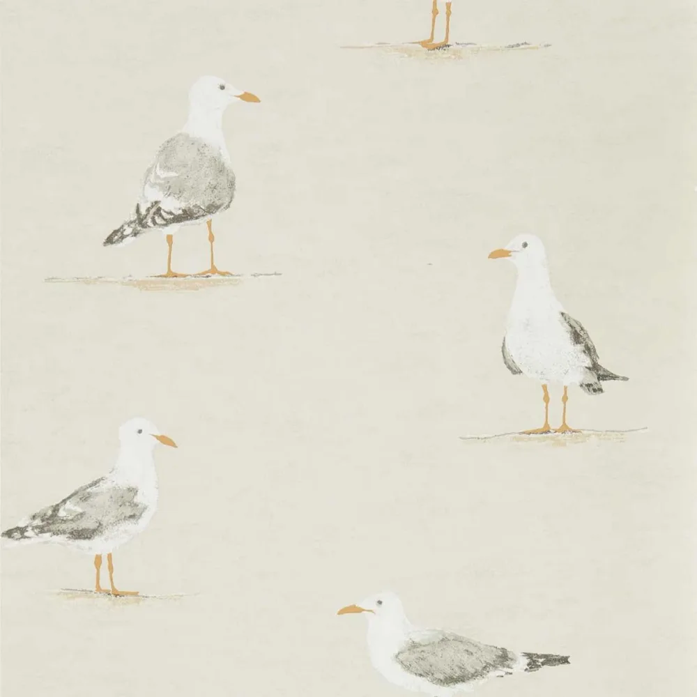 Port Isaac Shore Birds Dcoa216563 Tapet | Stuvbutiken - Bild 2